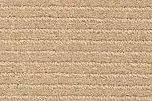 Ковролин Radici Solo Barley 4975 фото  | FLOORDEALER